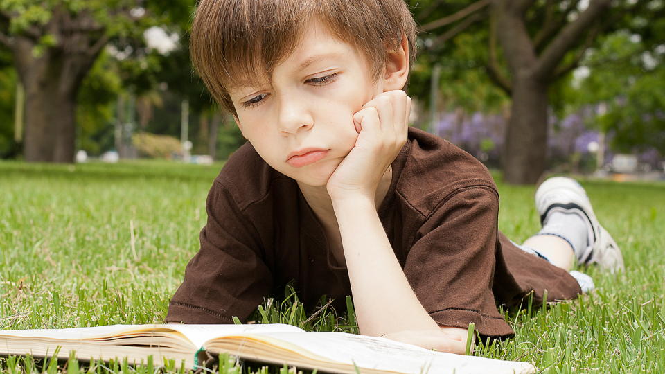Boy is reading a book on the grass