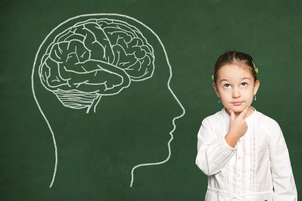 children-brain-processes