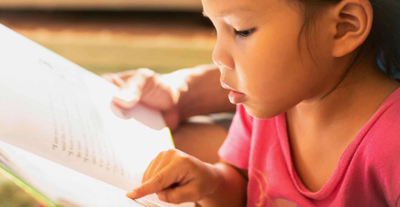 Reading Strategies for Children with Learning Disabilities LionStory